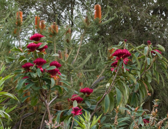 20160918_jaede-garden_k35538