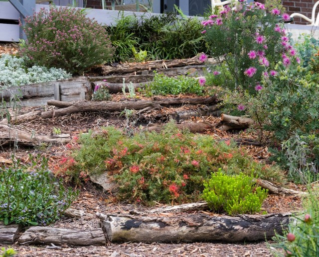 20160918_jaede-garden_k35539